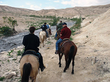Israel-South-Judean Desert to the Dead Sea Ride